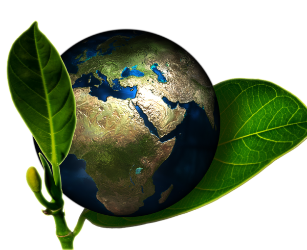 En qué consiste el Día Mundial del Medio Ambiente